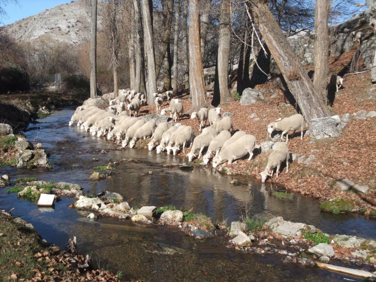 Casas Rurales El Nacimiento 蓬托内斯 外观 照片